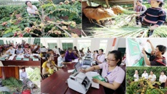 Ngân hàng chính sách xã hội đồng hành cùng người nghèo 