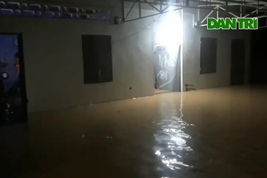 Người dân Bình Định cuống cuồng chạy lũ trong đêm