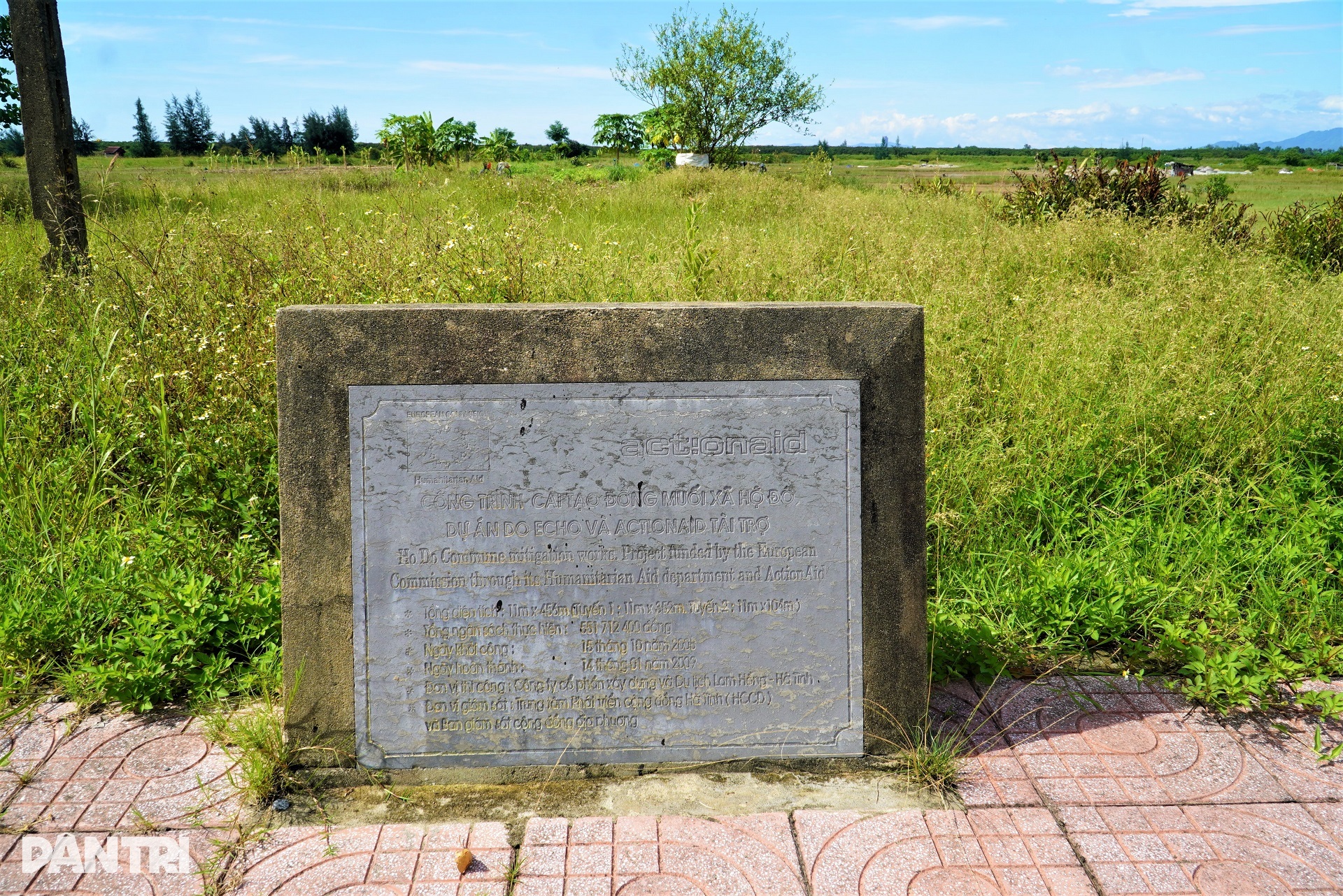 Dân bỏ nghề làm một ngày ăn cả năm, 80ha đất bị bỏ hoang - 8