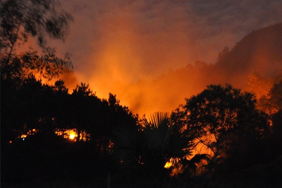 Thắp một cây hương coi chừng tàn một cánh rừng - 1 Thắp một cây hương coi chừng tàn một cánh rừng - 1