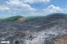 Hơn 120 người nỗ lực dập tắt đám cháy rừng cạnh đường điện 500kV Bắc - Nam