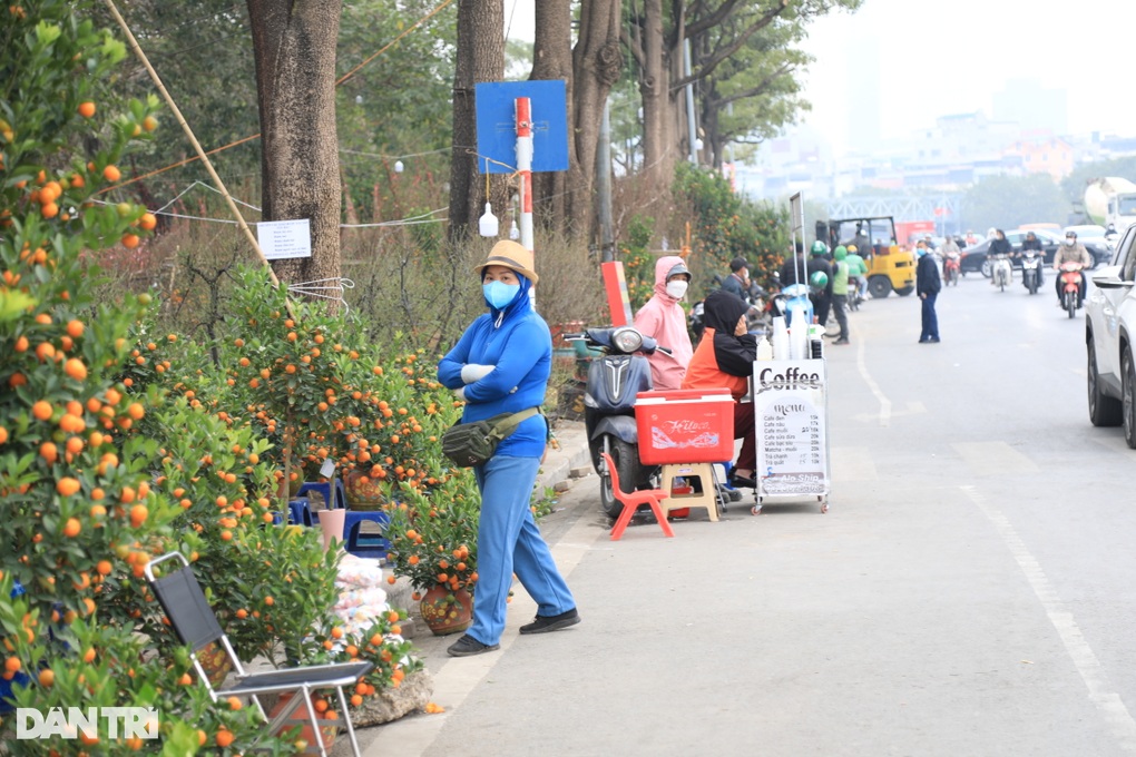 Hà Nội chiều cuối năm: Người tấp nập bán quất, người ế ẩm phải hạ giá - 3 Hà Nội chiều cuối năm: Người tấp nập bán quất, người ế ẩm phải hạ giá - 3