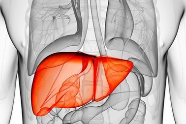 Nhận biết sớm 8 dấu hiệu ung thư gan