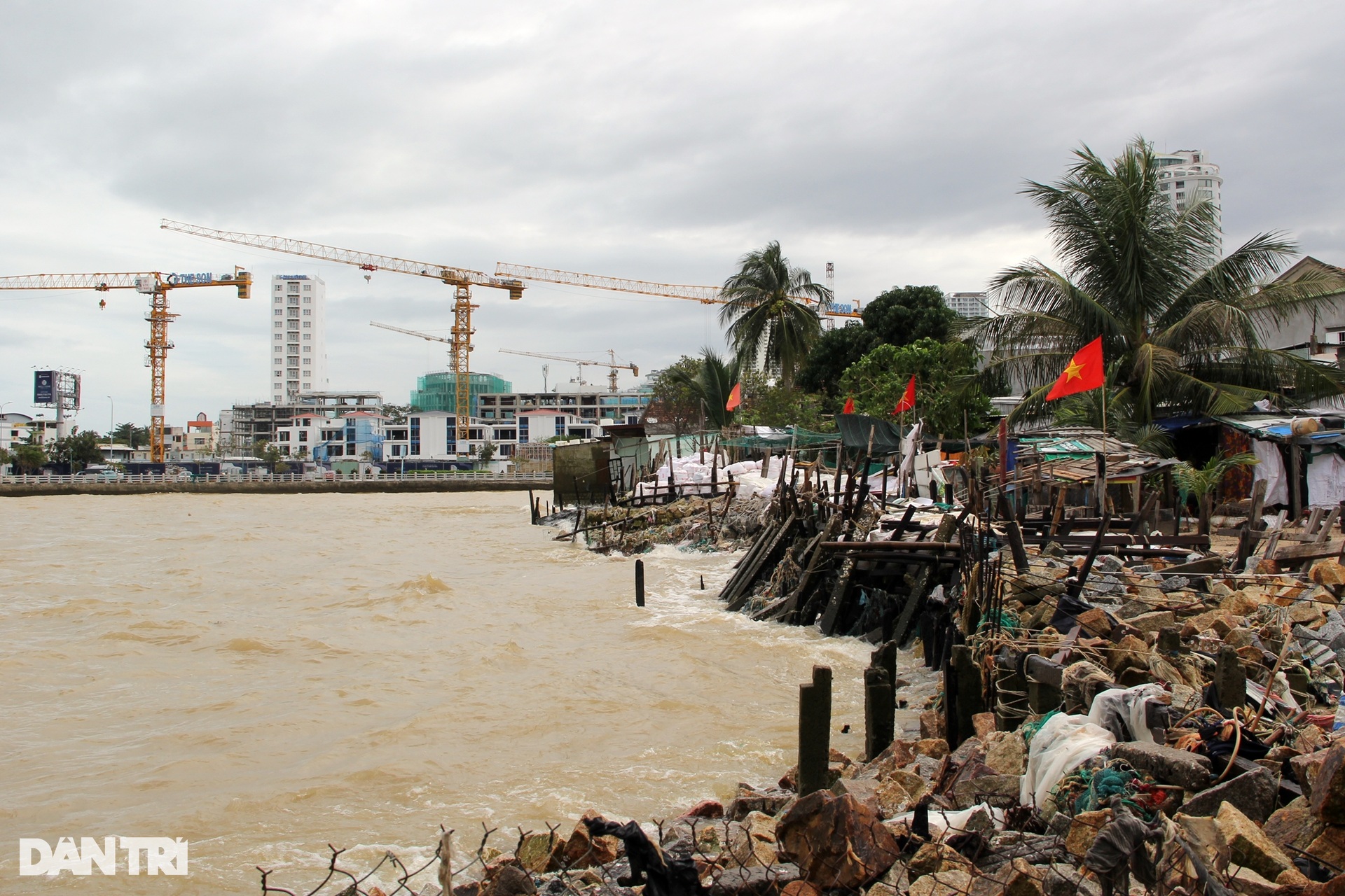 Người dân bên cồn khổ sở vì mỗi năm hàng chục triệu đồng đổ xuống sông - 10 Người dân bên cồn khổ sở vì mỗi năm hàng chục triệu đồng đổ xuống sông - 10