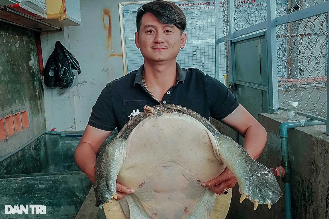 Bỏ sát thủ đầm lầy để nuôi cua 4 chân trong bể kính, 9X lãi 2 tỷ đồng/năm - 1 Bỏ sát thủ đầm lầy để nuôi cua 4 chân trong bể kính, 9X lãi 2 tỷ đồng/năm - 1