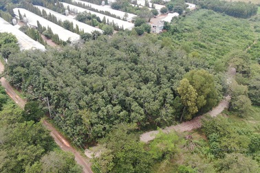 Đầu cơ đất sân bay Long Thành: Cẩn trọng ham rẻ "dính" đất dự án