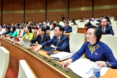 Đại biểu Quốc hội cảm nhận sự thiêng liêng khi thông qua quyết sách lịch sử