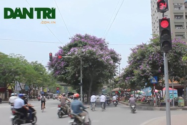 Hà Nội: Người dân ồ ạt vượt đèn đỏ để “chạy trốn” nắng nóng