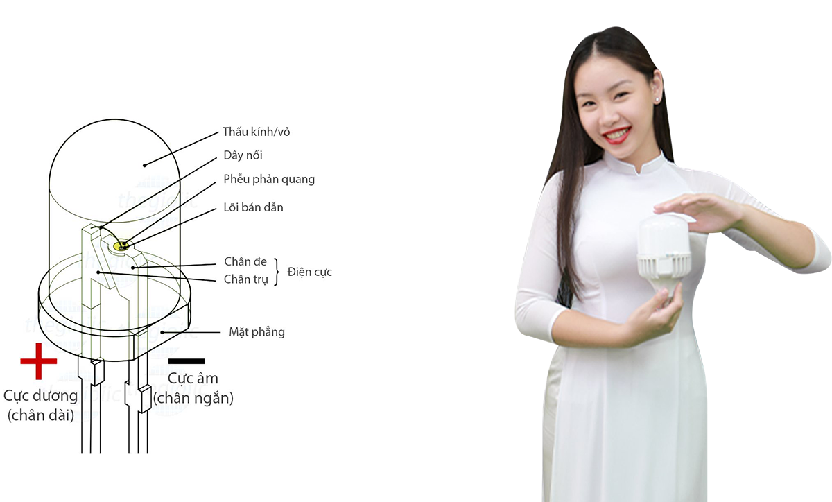 VONTA LED - Ánh sáng từ trái tim - 5 VONTA LED - Ánh sáng từ trái tim - 5