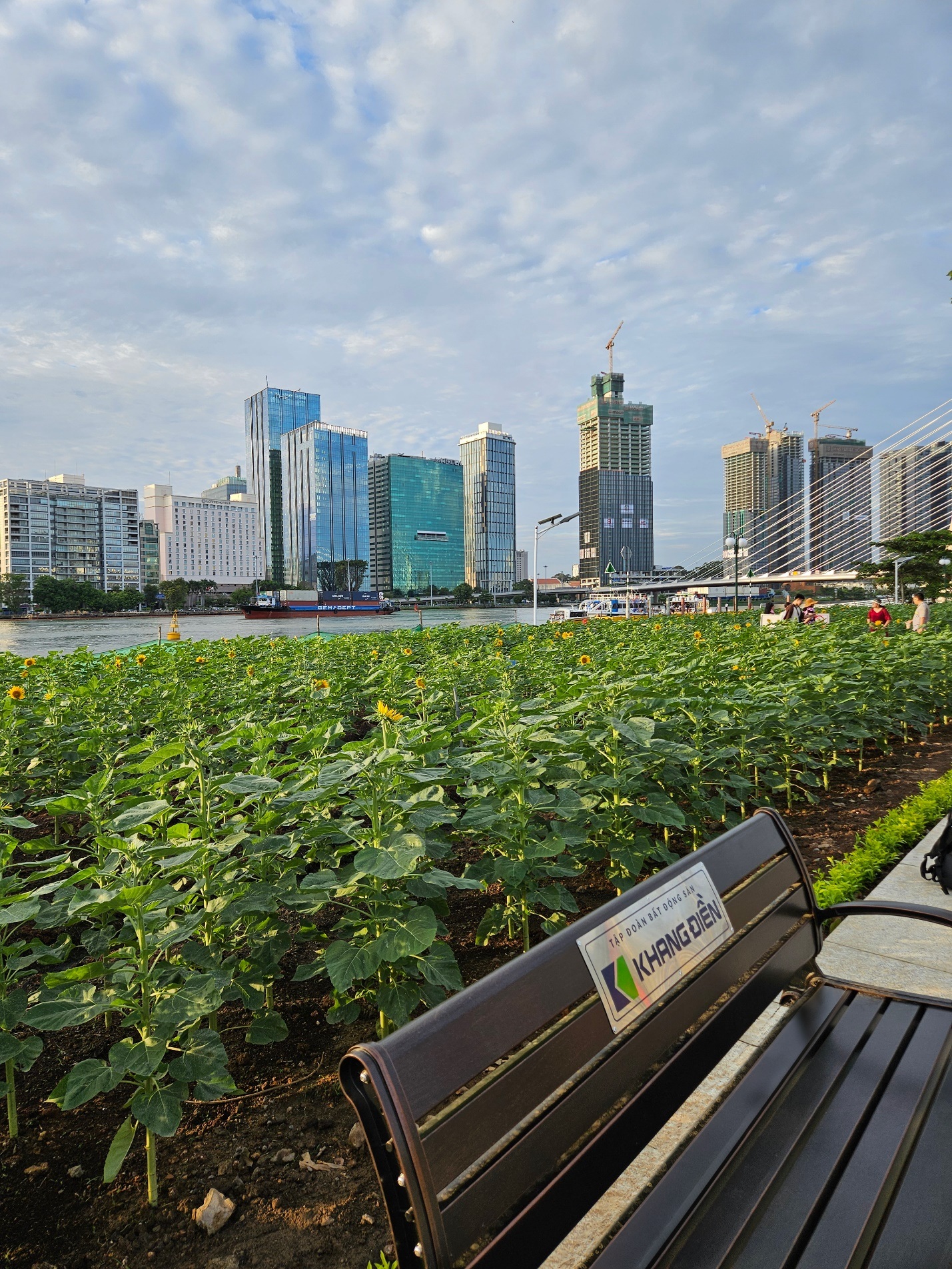 מקום בילוי חדש לתושבי HCMC על גדת נהר סייגון - 1 Thêm điểm vui chơi mới cho người dân TPHCM tại bờ sông Sài Gòn - 1