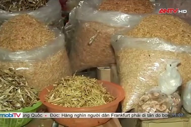 Rùng mình cá khô ngâm, phun thuốc diệt côn trùng