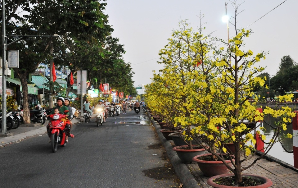 Người dân Cần Thơ hối hả đưa nàng xuân về nhà đón Tết - 17 Người dân Cần Thơ hối hả đưa nàng xuân về nhà đón Tết - 17