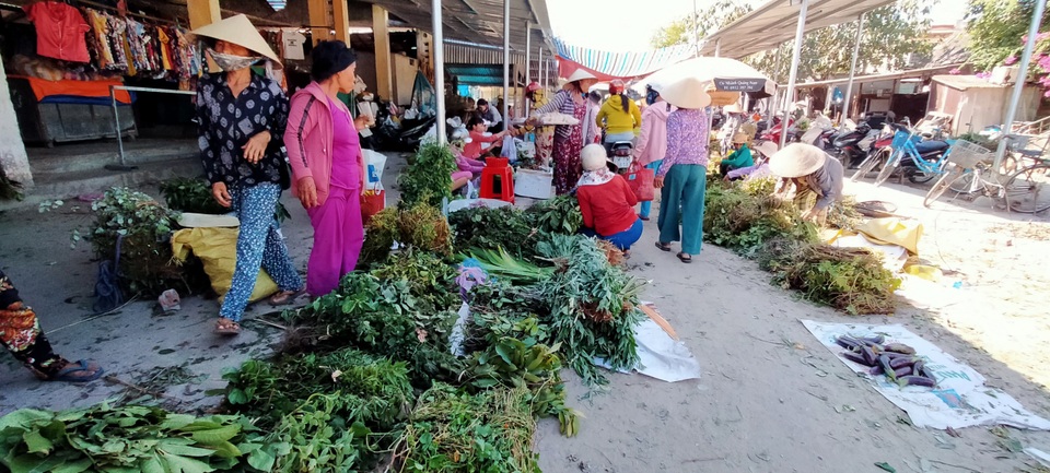 Mùa lá Mùng 5 ở xứ Quảng vào vụ - 1 Mùa lá Mùng 5 ở xứ Quảng vào vụ - 1