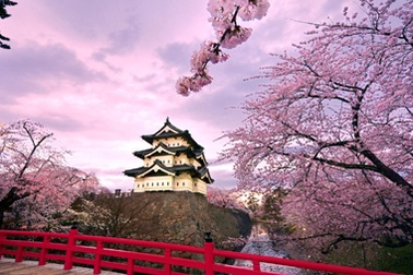 Đi đâu vào mùa xuân?