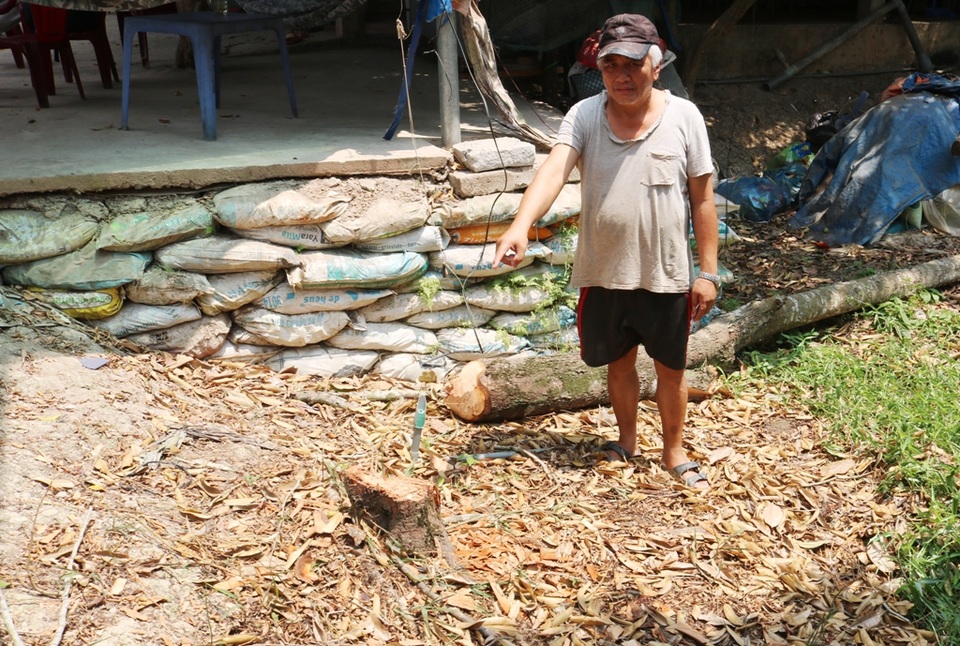 Hạn mặn khốc liệt, tìm cách cứu vườn sầu riêng của người dân - 5 Hạn mặn khốc liệt, tìm cách cứu vườn sầu riêng của người dân - 5