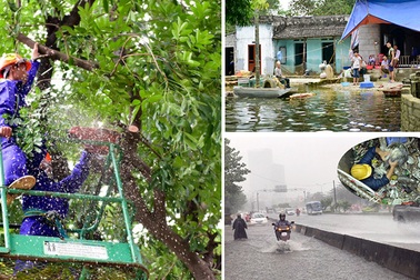 Siêu máy bơm "bất lực" ở Sài Gòn, Hà Nội ngồi chờ lũ rút