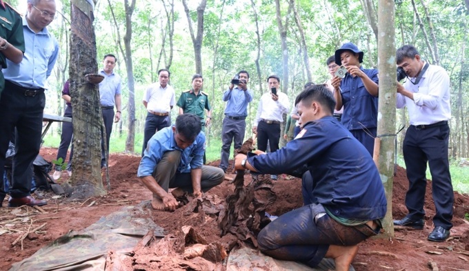 Đội K72 tìm thấy phần mộ hài cốt liệt sĩ tại xã Minh Đức, huyện Hớn Quản.
