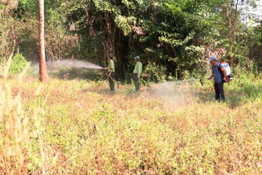 17.000ha rừng ở An Giang được cảnh báo cháy ở mức cực kỳ nguy hiểm