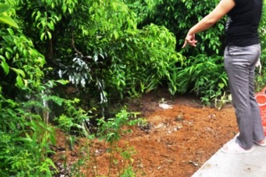 Mâu thuẫn, con trai cầm dao chém cha tử vong