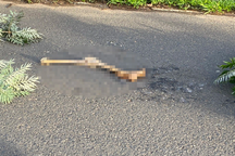 Phát hiện vật thể nghi chân người trong hồ Tuyền Lâm ở Đà Lạt