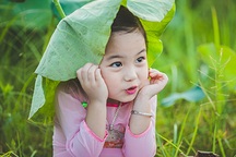 "Thiên thần" nhí cười đáng yêu dưới lá sen