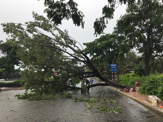 TP.Nha Trang-Khánh Hòa: Ra quân khắc phục hậu quả bão số 12  - Ảnh 7.