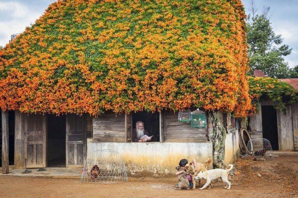 Đã mắt với những ngôi nhà phủ đầy hoa, ngỡ chỉ có trong cổ tích ở Việt Nam - 2 Đã mắt với những ngôi nhà phủ đầy hoa, ngỡ chỉ có trong cổ tích ở Việt Nam - 2