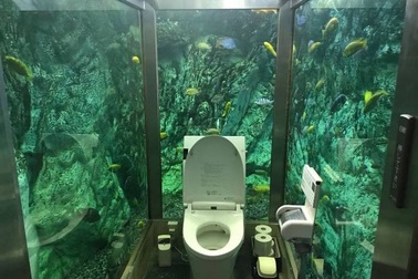 Độc đáo nhà vệ sinh giữa lòng đại dương tại quán cà phê Nhật Bản