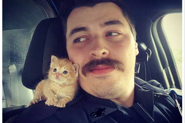 Những câu chuyện cảm động làm lay động triệu con tim