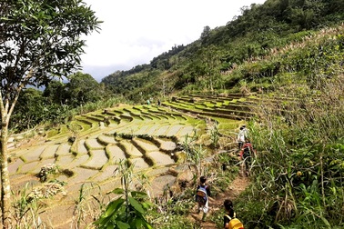 Gian nan học sinh miền núi băng rừng, lội suối đến trường