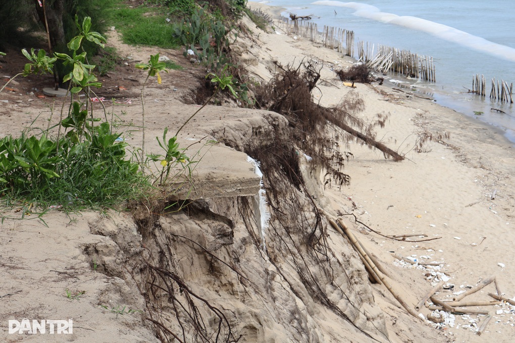 Bờ biển Hội An lại sạt lở, nhiều nhà hàng thấp thỏm lo - 2