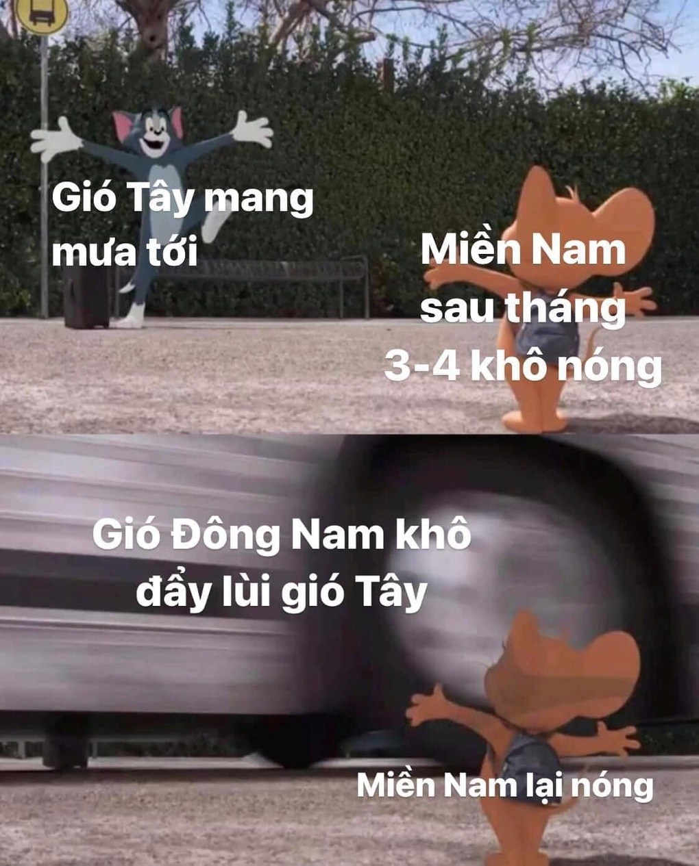 Gen Z làm fanpage chia sẻ kiến thức địa lý hút hàng chục ngàn lượt theo dõi - 2 Gen Z làm fanpage chia sẻ kiến thức địa lý hút hàng chục ngàn lượt theo dõi - 2