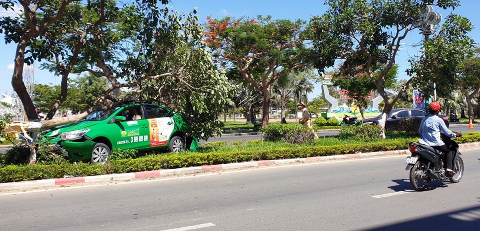 Tránh Camry, taxi leo dải phân cách tông đổ cây xanh - 1 Tránh Camry, taxi leo dải phân cách tông đổ cây xanh - 1