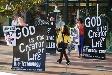 Bùng nổ thị trường tế bào gốc