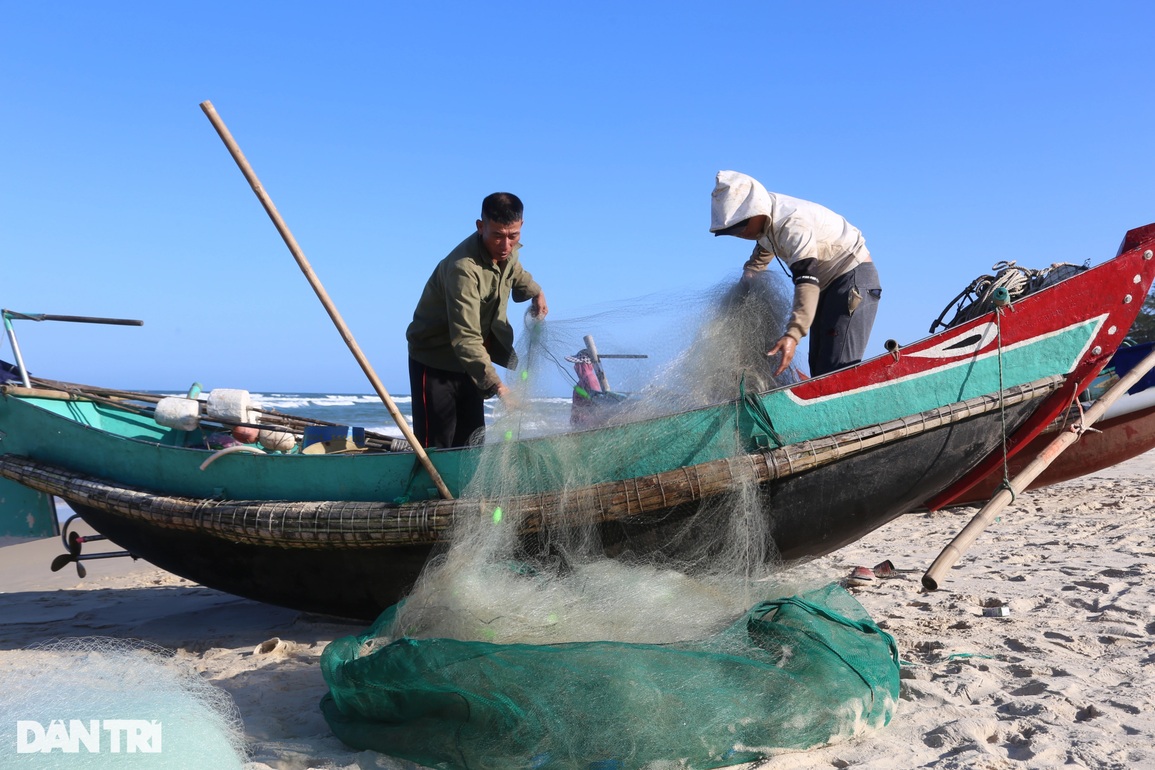 Ra khơi vài giờ, ngư dân trúng loại cá mềm nhũn như cháo thu tiền triệu - 4 Ra khơi vài giờ, ngư dân trúng loại cá mềm nhũn như cháo thu tiền triệu - 4