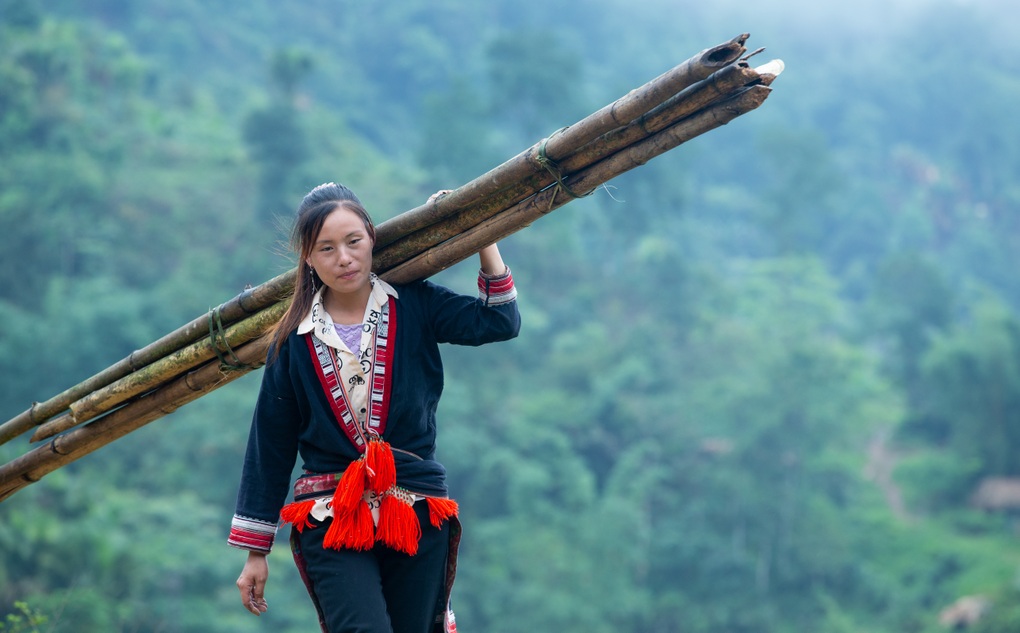 Bất bình đẳng giới cản trở nhiều phụ nữ có việc làm được trả lương - 2 Bất bình đẳng giới cản trở nhiều phụ nữ có việc làm được trả lương - 2