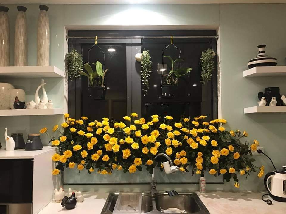 Vườn hoa khổng lồ trên sân thượng của người phụ nữ Hà Nội - 14