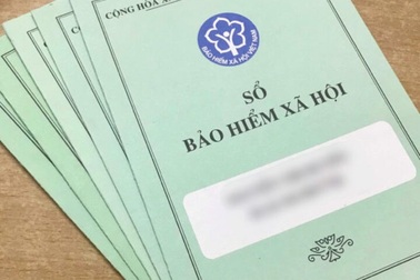 Hướng dẫn thực hiện đóng BHXH, BHYT, BHTN từ ngày 1/1/2020