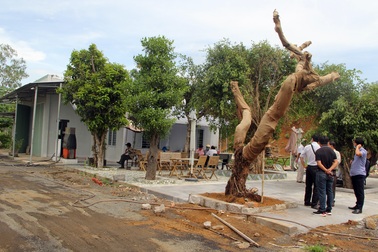 Kiến nghị xử lý cán bộ "quên" sai phạm của doanh nghiệp tại Phú Yên