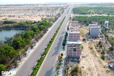 Bình Định yêu cầu không để xảy ra tình trạng thông đồng trong đấu giá đất