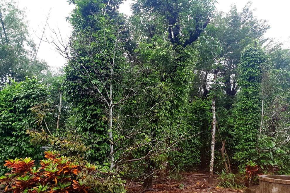 Chạy xe 20 km, chờ cả buổi rồi uất ức nhận được 8.000 đồng tiền hỗ trợ bão - 2