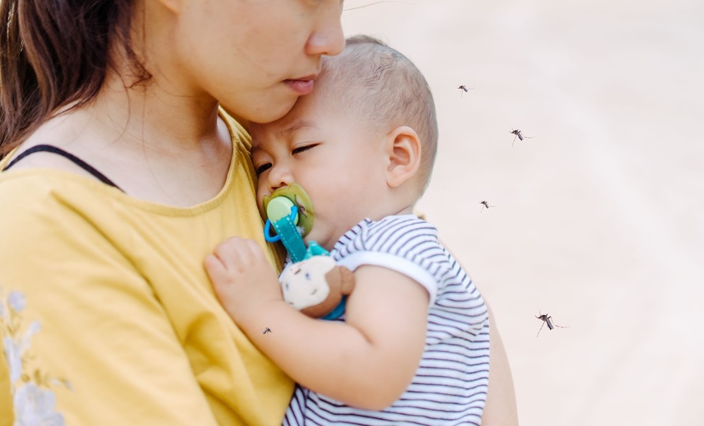 Mối nguy của sốt xuất huyết - 2 Mối nguy của sốt xuất huyết - 2