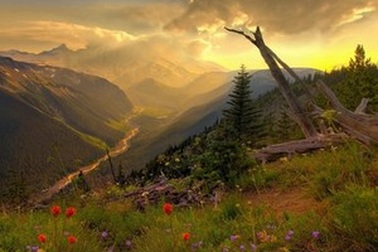 Tuyển tập những ứng dụng, thủ thuật nổi bật tuần qua