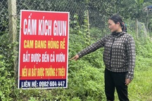 "Giun tặc" lộng hành, nông dân gửi tâm thư cầu cứu Bộ trưởng