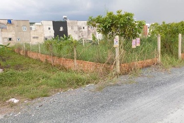 TPHCM: Hơn 1.000 hồ sơ sai phạm đất đai ở huyện Hóc Môn