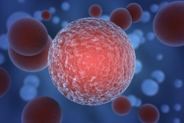 Tumolung – Bước tiến mới trong phòng ngừa và hỗ trợ điều trị u phổi