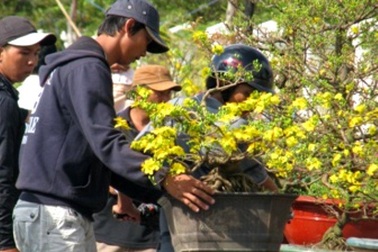 Cà Mau mở chợ Tết từ giữa tháng Chạp đến đêm giao thừa