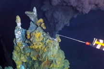 "Cánh đồng quái vật" Thái Bình Dương gợi ý về sinh vật ngoài hành tinh?