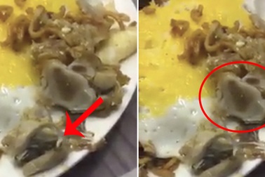 Du khách rùng mình thấy giòi "ngoe nguẩy" trong đĩa thức ăn