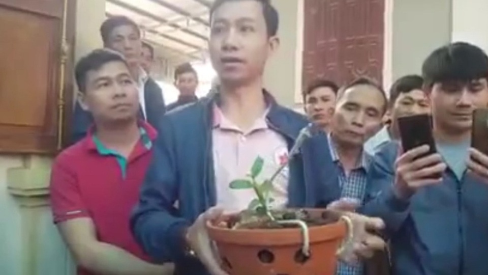 Cây lan hồng bồng lai giá hơn 1,6 tỷ đồng: Thuế và công an cùng vào cuộc - 2 Cây lan hồng bồng lai giá hơn 1,6 tỷ đồng: Thuế và công an cùng vào cuộc - 2